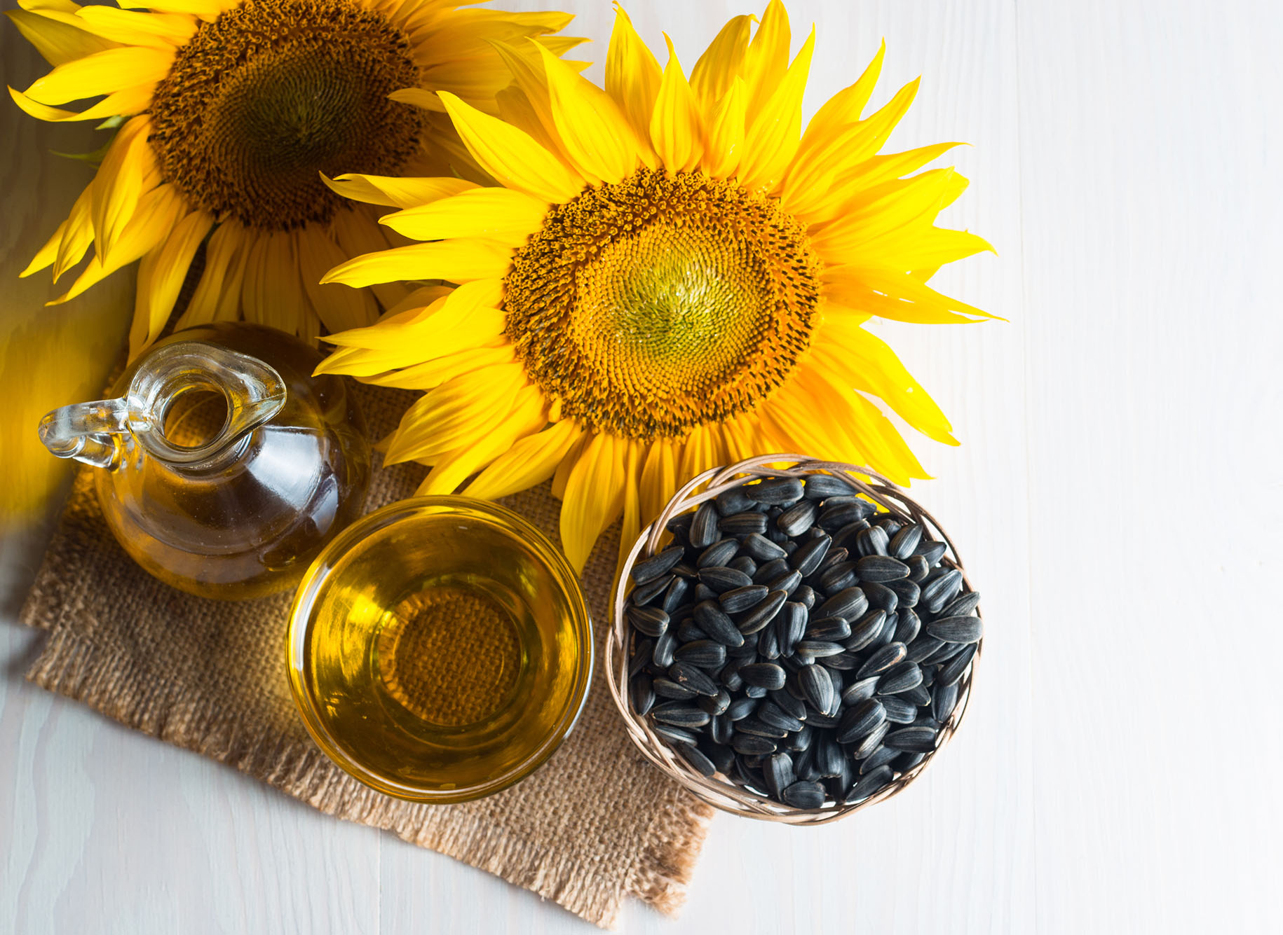 Sunflower Oil